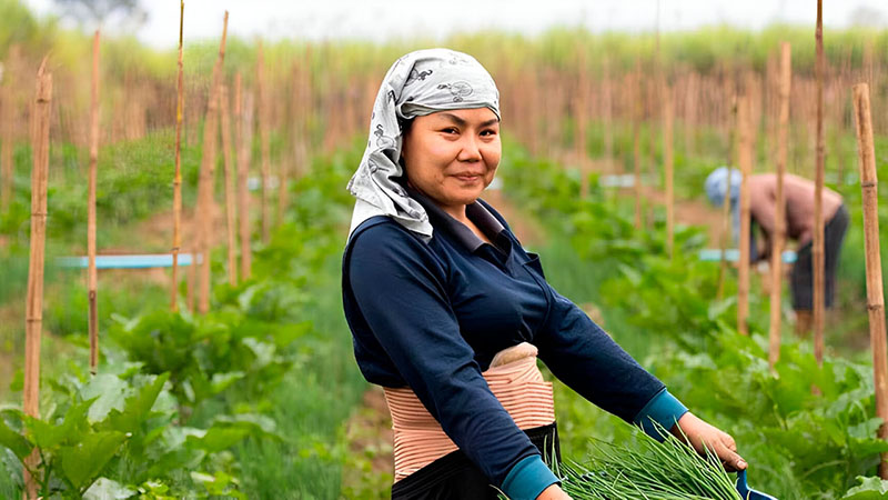 woman worker field